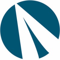 IT logika - DRONETEAM Logo