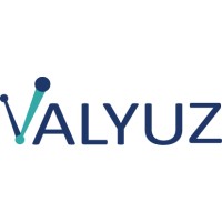 Valyuz Logo