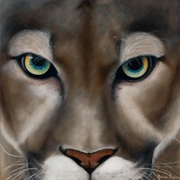 Briana Paxton Fine Art, LLC Logo