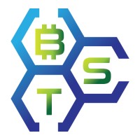 Blockchain Strategy Team Logo