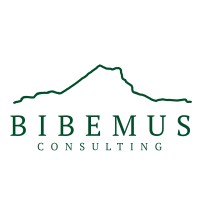 Bibemus Consulting Logo