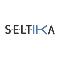 SELTIKA Seguridad de la Información Logo