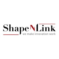 Shape N Link Consulting Logo