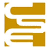 C.S.E. Componenti e Sistemi Elettronici Logo