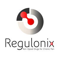 Regulonix Holding, Inc. Logo