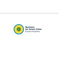 Business for Smart Cities Council Logo