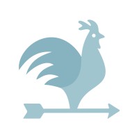 HNS Partners Logo