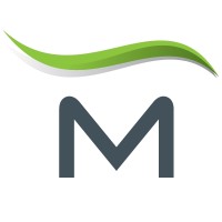 Ing. Siegfried Manschein GmbH Logo