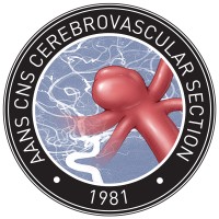 AANS/CNS Joint Cerebrovascular Section Logo