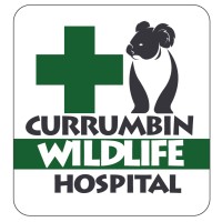 Currumbin Wildlife Hospital Logo