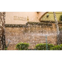 Wits School of Governance Logo