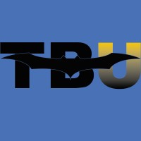 TheBatmanUniverse.net Logo