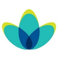 Salus Financial Group Logo
