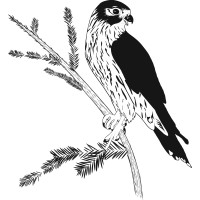 Merlin Arborist Group Logo