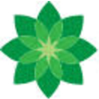 CFO Spark Logo