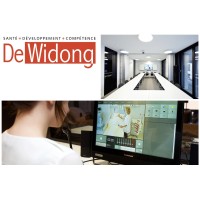 DeWidong Logo