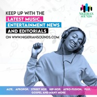 Nigerian Sounds Media Logo