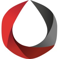 Groupe Pfister Logo