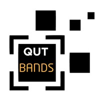 QUT BANDS: Business Analysis and Data Science Club Logo