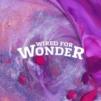 Wired for Wonder Logo