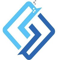 SILICON VALLEY GLOBAL INC Logo