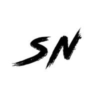 Silver Nebula Logo