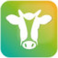 Cool Cow Collective Logo
