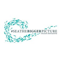 #SEATHEBIGGERPICTURE Logo