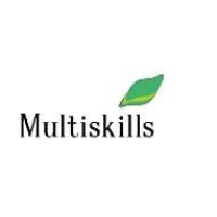 Multiskills LLС Logo
