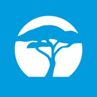 Acacia Counseling and Wellness Logo
