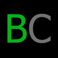 Blockchain Consulting Ltd Logo