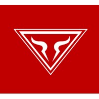 Bull Genset Logo
