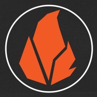 Pro MediaFire Logo