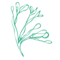 Salish Sea Greens Logo