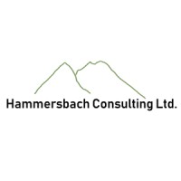 Hammersbach Consulting Ltd Logo