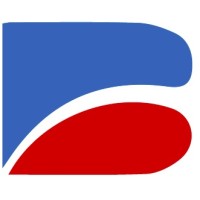 The Banik Group Logo