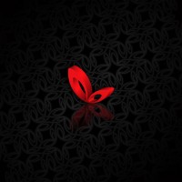 Ispiro Consulting Kft. Logo