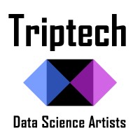 Triptech Engineering & Software Solutions LTD Logo