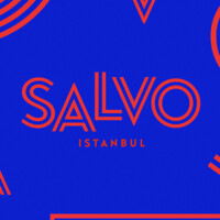 Salvo Logo