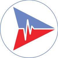 FleetNurse Logo