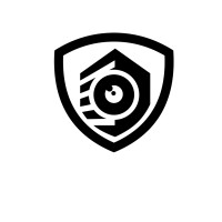 Allfine Security Logo