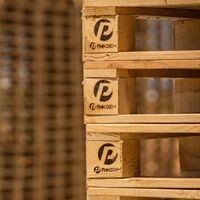 Pakdem Palet Sanayi Tic. Ltd. Şti. Logo