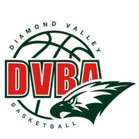 Diamond Valley Basketball Association Logo