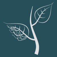 Early Stage Montana Logo