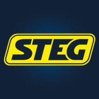 STEG Electronics AG Logo