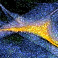 Collective Source Logo