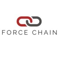 Force Chain Logo
