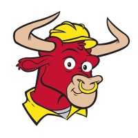 BullBag Corporation Logo