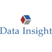 Data Insight Logo