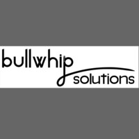 Bullwhip Solutions, LLC Logo